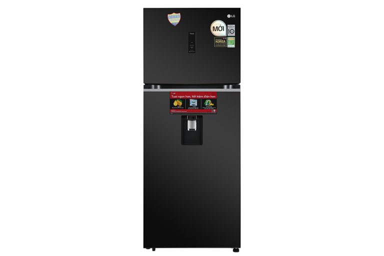 lg-inverter-394-lit-gn-d392bla1-1_078394b2a5134dc0849234b74508951e.jpg