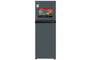 tu-lanh-toshiba-inverter-233-lit-gr-rt303we-pmv-52-1-2_16e051105a3a413d809509ac957b147f.png