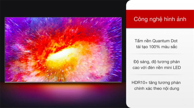 tcl-65×10-120821-0436081_51c436eba83345bab9cec7eb84e8c164.jpg